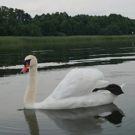 Haus Am Apartament *