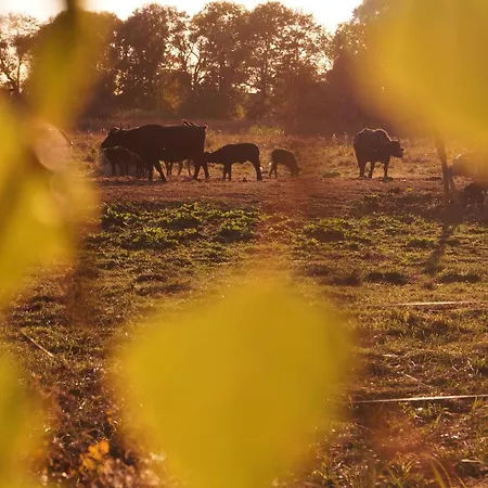 Haus Am Apartament *