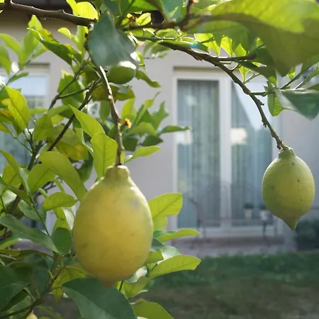 Haus Am * Storkow (Mark)