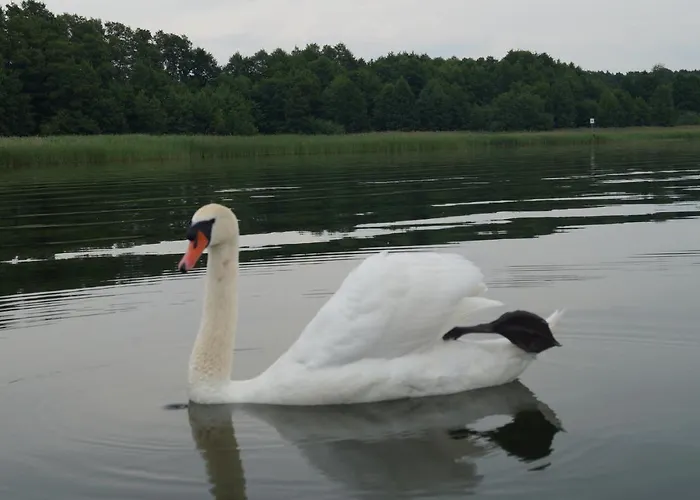 Haus Am Appartement *