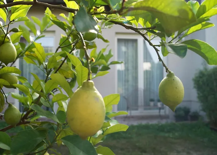 Haus Am * شتوركو